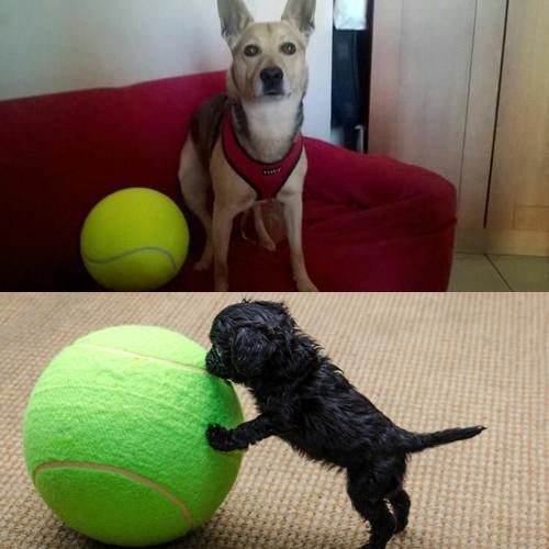 The "All-Fun" Giant Tennis ball (9.4Inch-24Cm)