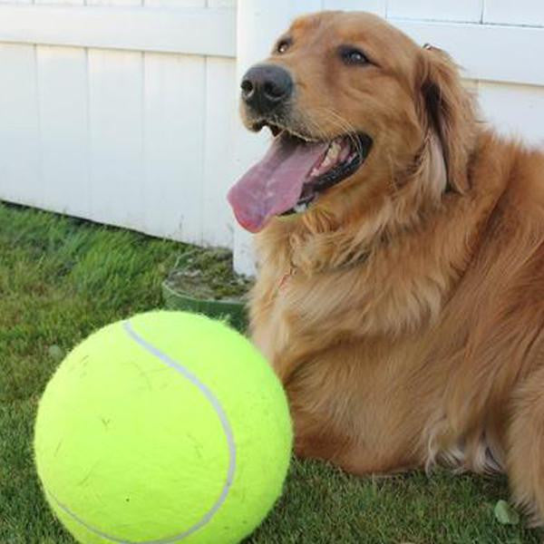 The "All-Fun" Giant Tennis ball (9.4Inch-24Cm)