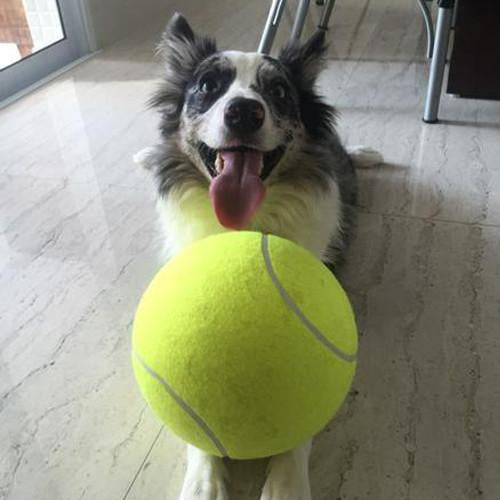 The "All-Fun" Giant Tennis ball (9.4Inch-24Cm)