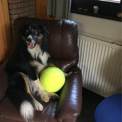 The "All-Fun" Giant Tennis ball (9.4Inch-24Cm)